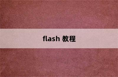 flash 教程